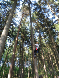 slackline